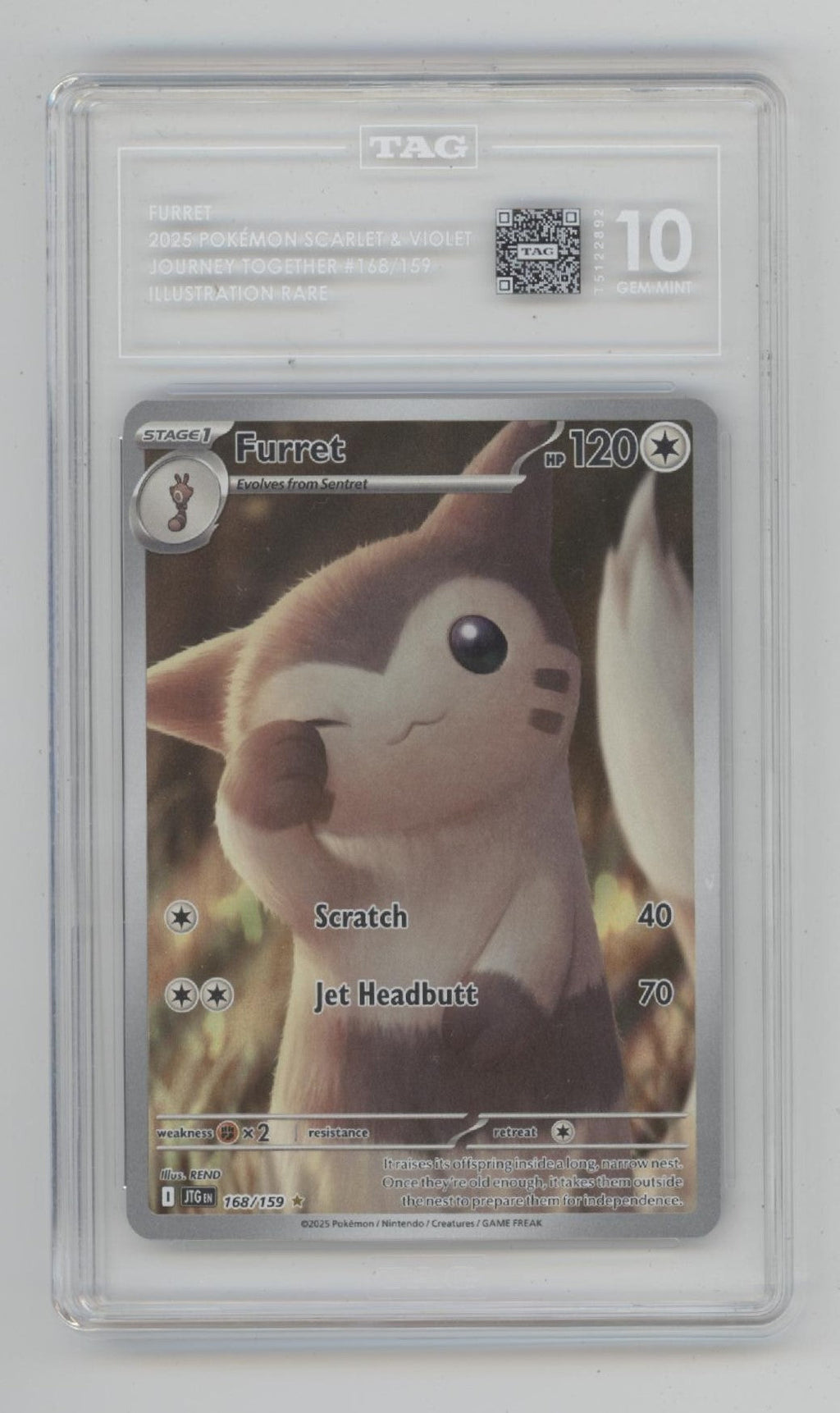 Furret Pokemon Journey Together Illustration Rare #168 TAG 10
