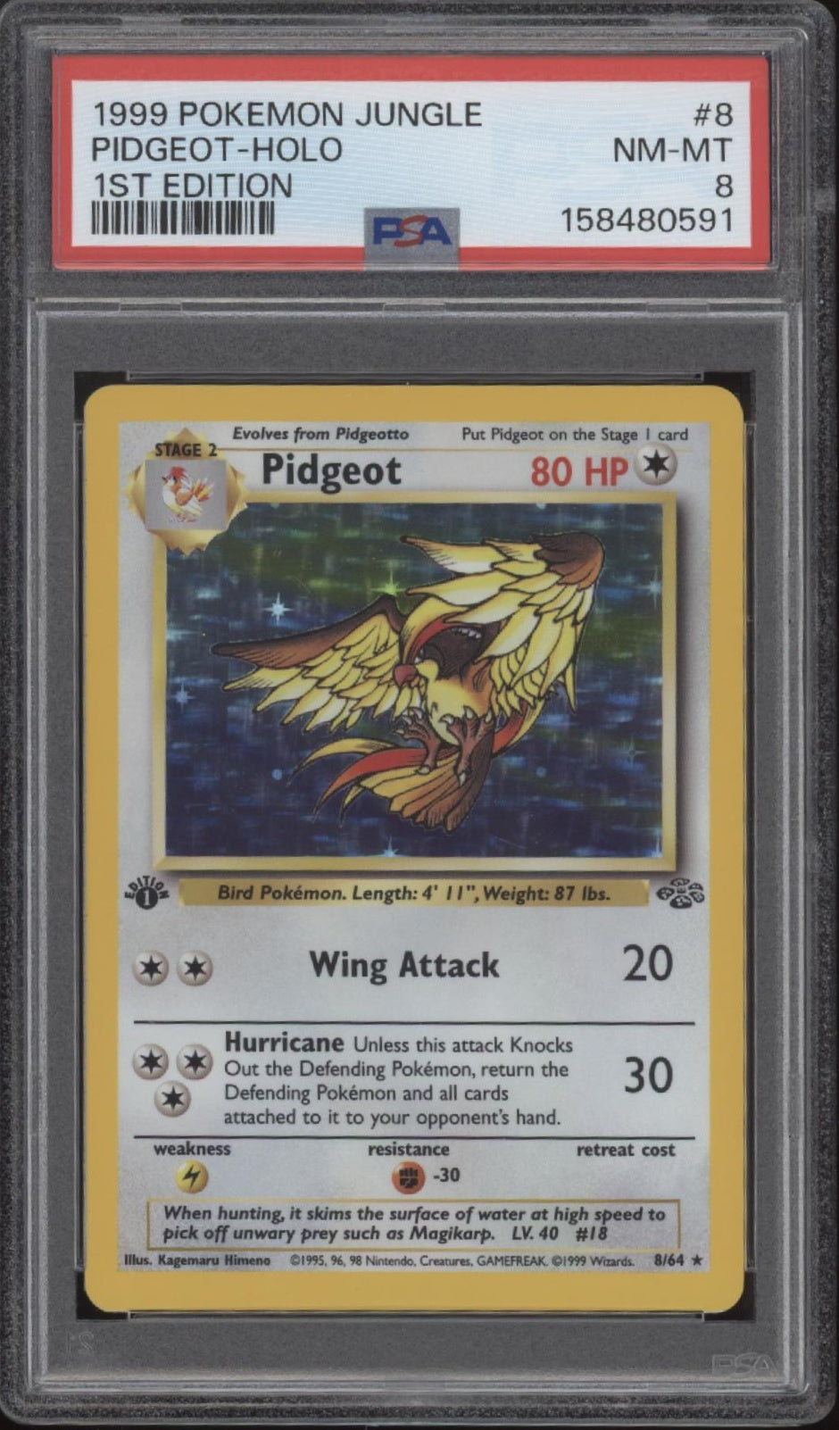 Pidgeot Pokemon Jungle Holo 1st Edition #8 PSA 8