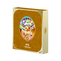 Pokemon: Chinese Terastal Gathering CSV9.5C Binder Set Gift Box – Eevee