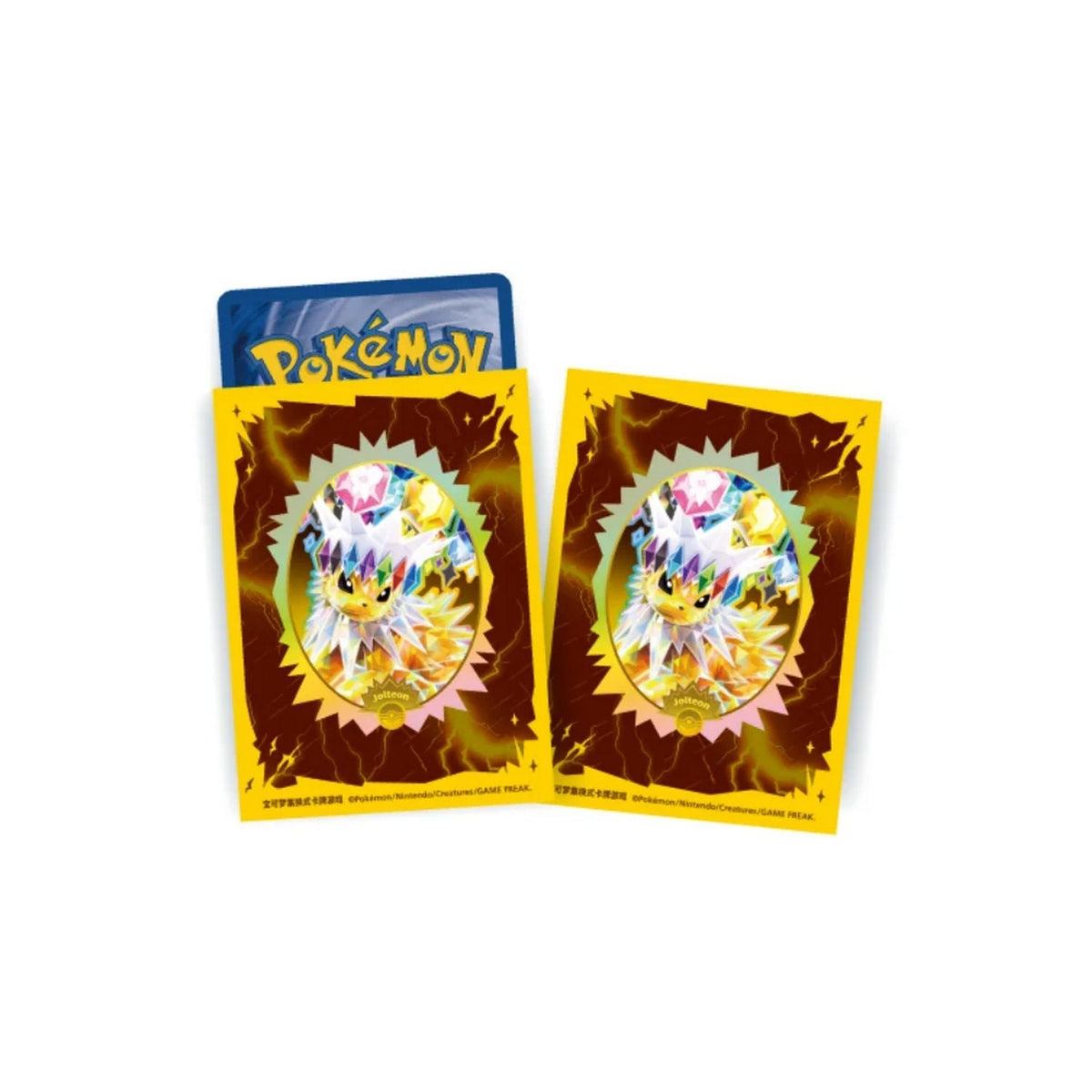 Pokemon: Chinese Terastal Gathering CSV9.5C Binder Set Gift Box – Jolteon